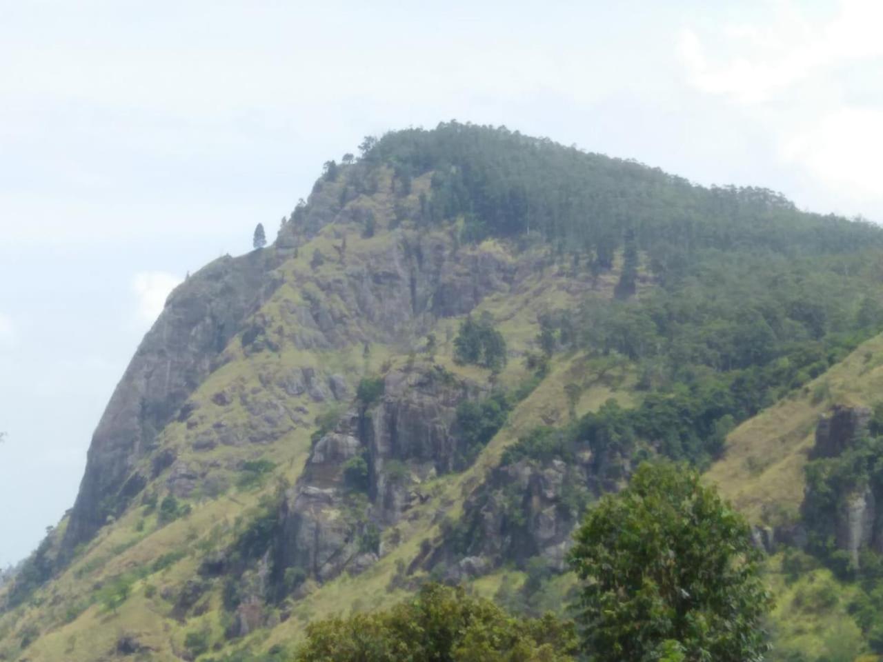 Green View Ella Zewnętrze zdjęcie